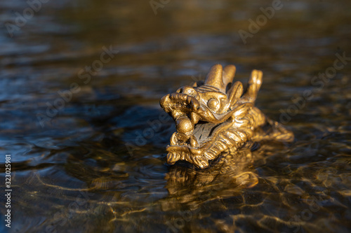 dragon in the water