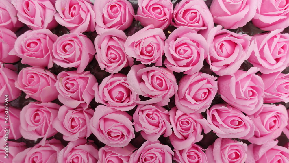 Background image of pink roses