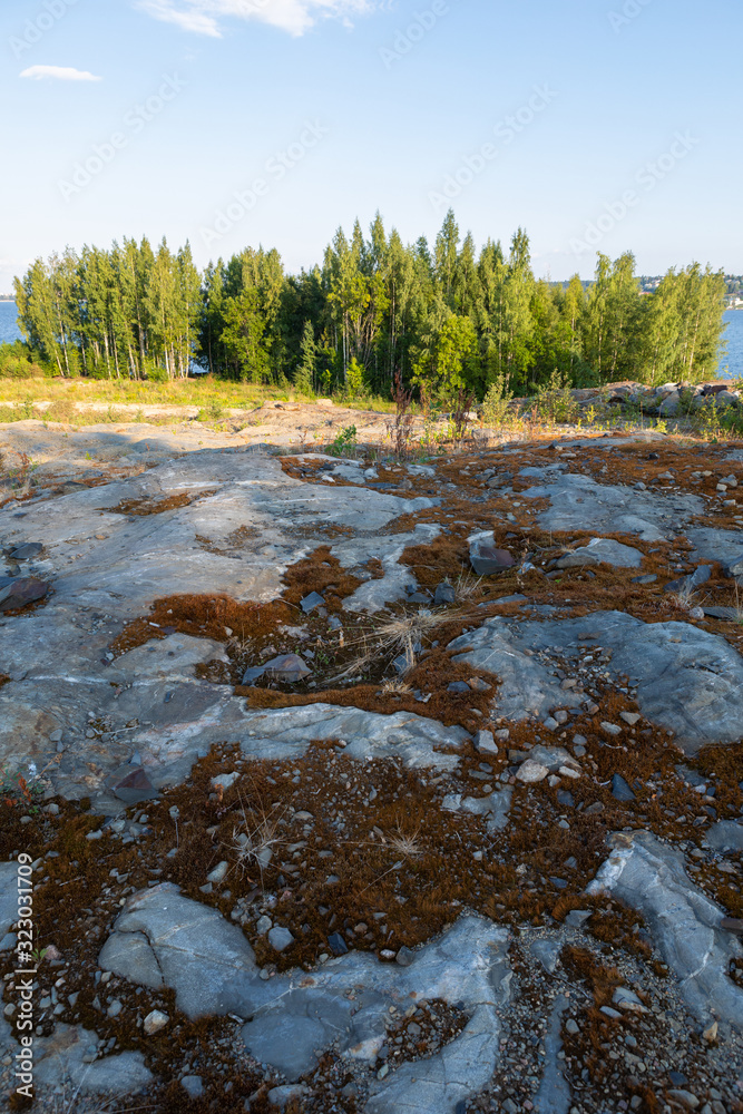 Trees and rock landscape in Finland Trees and rock landscape in Finland