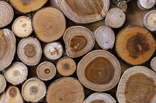 Texture of different types of wood.