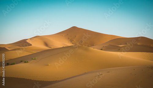 Cluster of dunes on a sunny day