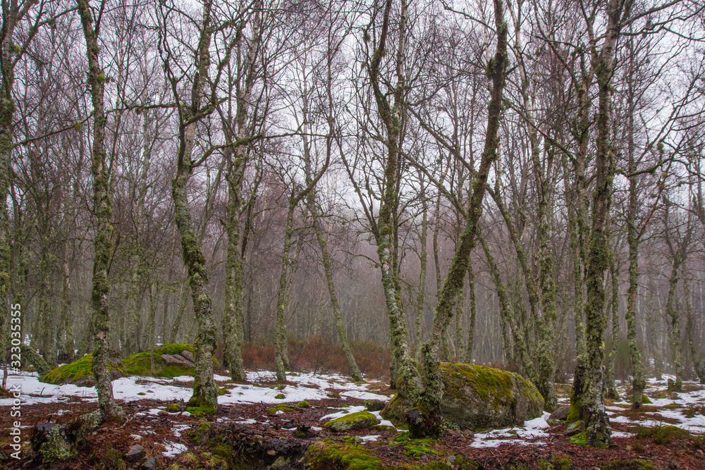 Serra da Estrela Portugal