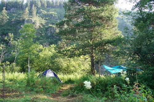 tent in the forest