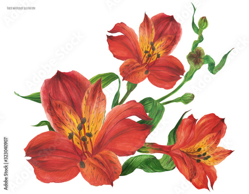 Corsage bouquet with red alstroemeria flowers