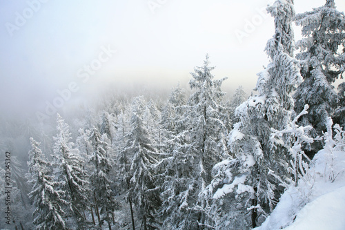 Beautiful winter in a wild area in the Table Mountains in Poland. Snow covered trees at the peak of Skalniak and eroded sandstone rock formations.