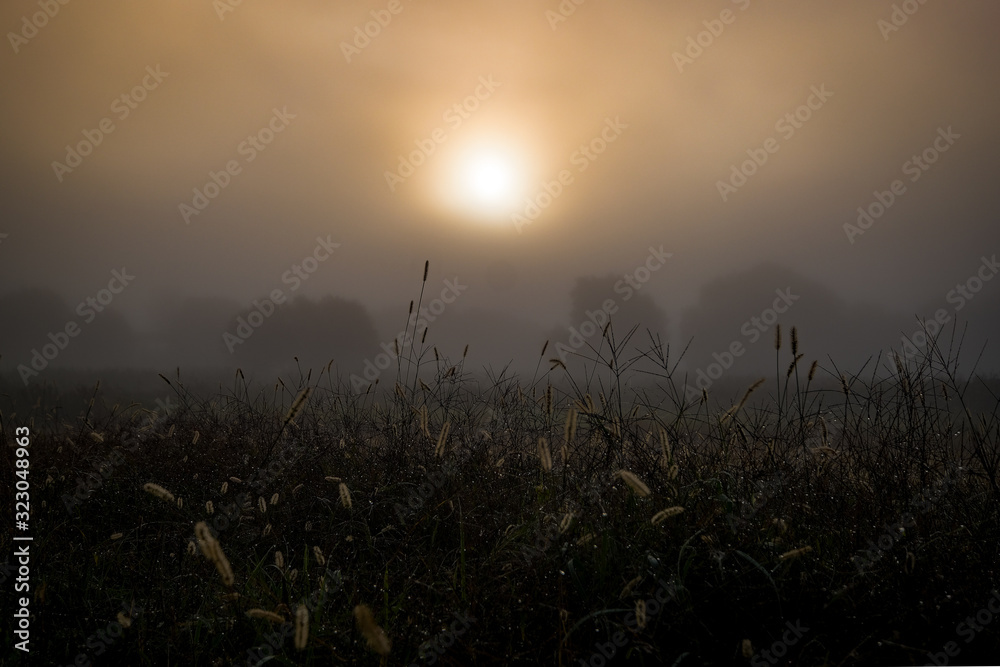 Obraz premium Sun at dawn above fields