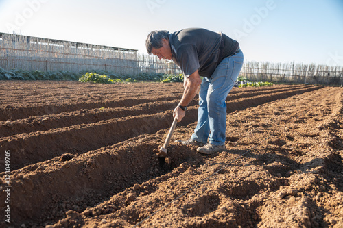 farmer preparing land with hoe to plant potatoes