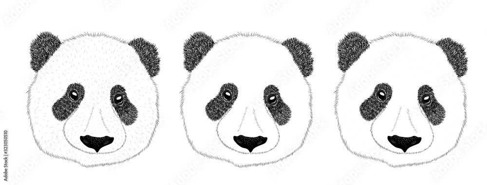 Obraz premium Panda animal cute face. Asian panda bear head portrait. Realistic fur portrait funny black and white panda animal