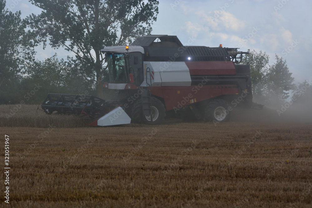 Fototapeta premium harvest in the field