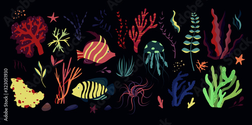 Underwater sea world dwellers, flora and fauna elements. Algae, coral reef, kelp. Vector cartoon illustration.