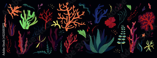 Underwater sea world dwellers, flora and fauna elements. Algae, coral reef, kelp. Vector cartoon illustration.