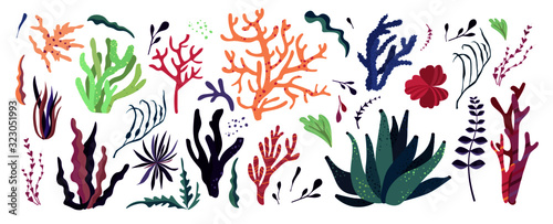 Underwater sea world dwellers, flora and fauna elements. Algae, coral reef, kelp. Vector cartoon illustration.