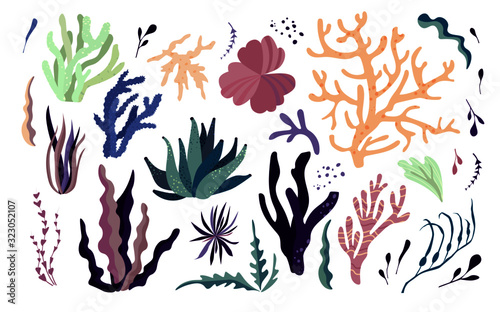 Underwater sea world dwellers, flora and fauna elements. Algae, coral reef, kelp. Vector cartoon illustration.
