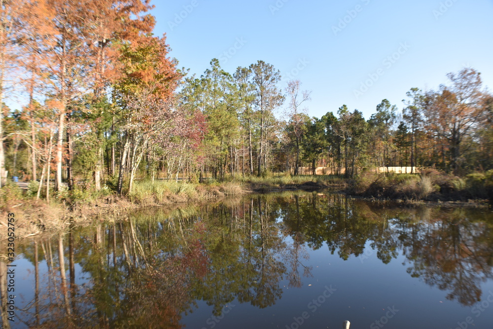 Fall reflections