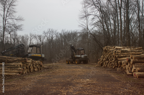 logging machines in forest