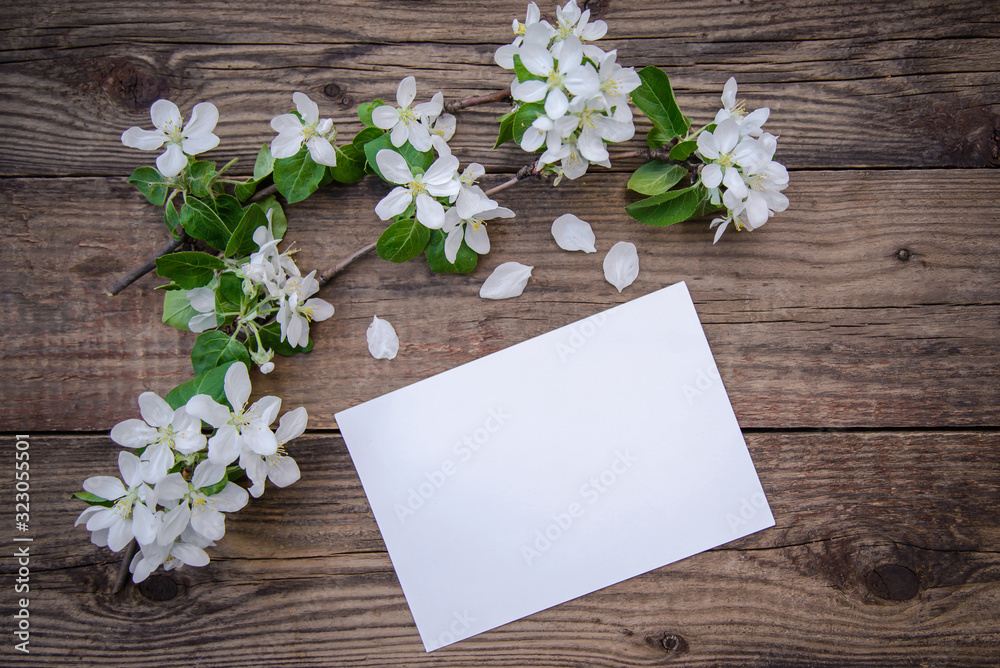 A branch of a blooming apple tree with white flowers and a sheet of paper on a wooden background, with a copy space A branch of a blooming apple tree with white flowers and a sheet of paper on a wooden background, with a copy space
