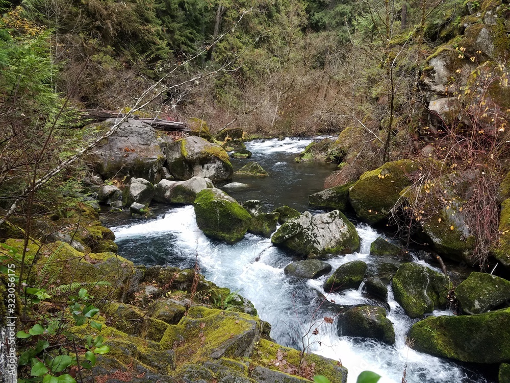 Cascading  creek