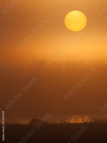 Sunrise in spring reedbed in Puhtu-Laelatu Nature Reserve
