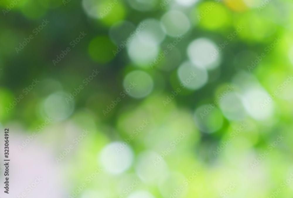 Nature background,nature bokeh blur background. Nature background,nature bokeh blur background.