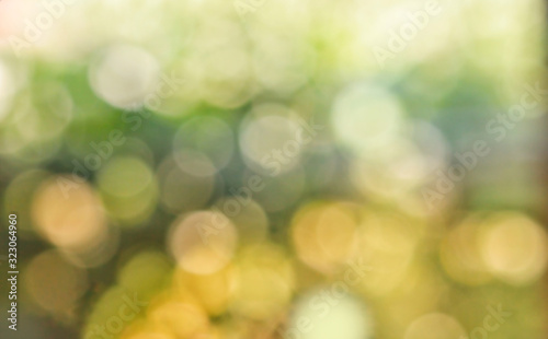 Nature background,nature bokeh blur background.