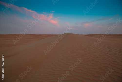 UAE. Desert  landscape