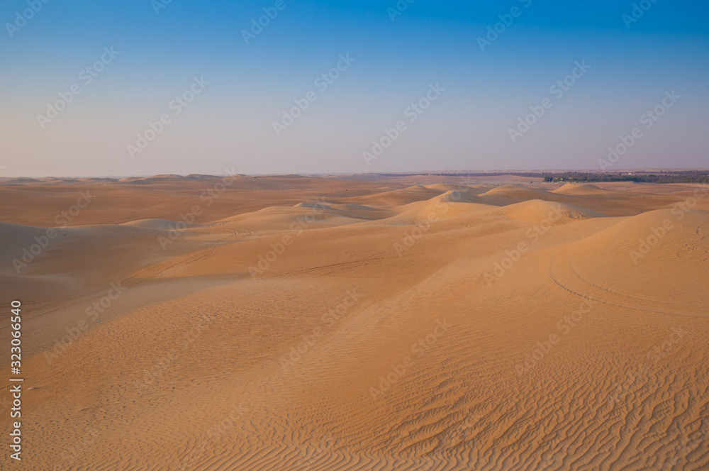 UAE. Desert  landscape