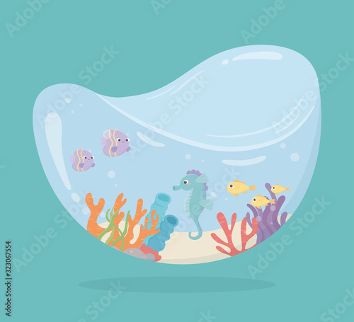 seahorse fishes coral sand water under sea cartoon