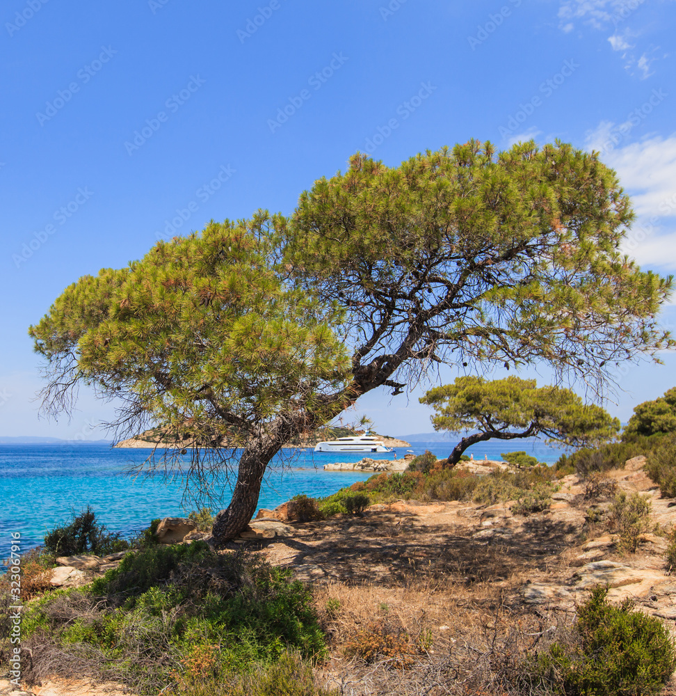Beautiful summer seascape view of coast at Sithonia on Halkidiki