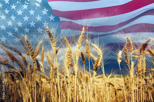 Fototapeta Double exposure with the american flag and  wheat.