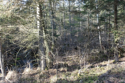 Fototapeta Naklejka Na Ścianę i Meble -  KODAK Digital Still Camera