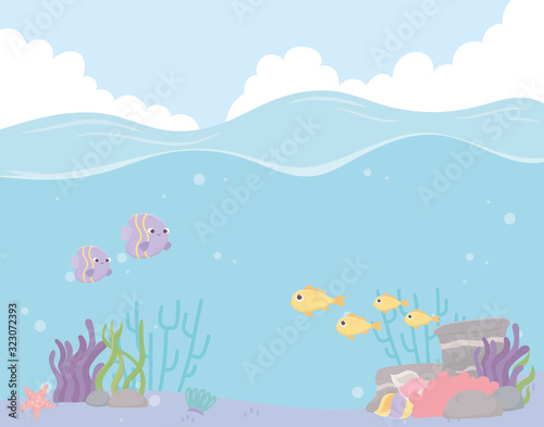 fishes starfish coral reef landscape water under the sea