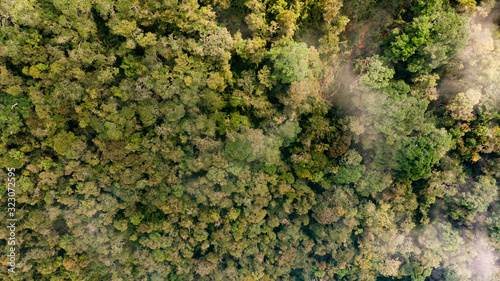 Mountain landscape in summer with fog tree forest background,aerial drone Footage flight above the clouds