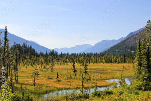 Beautiful Canadian Landscape of a marsh with small river and trees.
