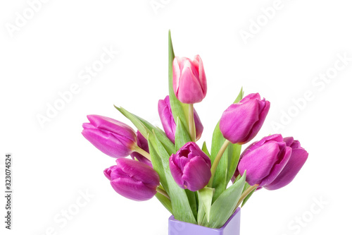 Purple tulips in the bag isolated on white