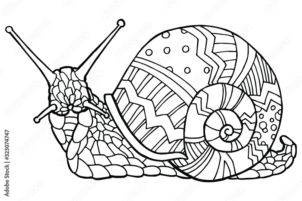 Snail Adult Coloring Book: An Adult Coloring Book with Snail for Relaxation  and Stress Relief, 50 Cute Snail Illustrations for Adults or Teens.