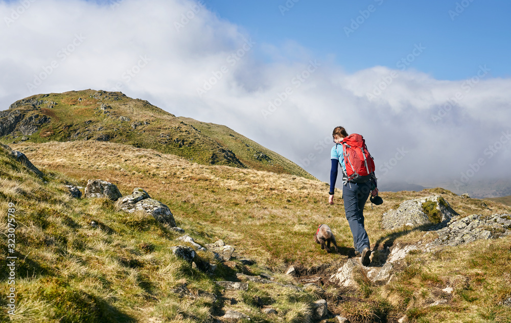 A female hiker and their dog walking up hill towards the mountain summit of Beda Head Beda Fell on a sunny day in the Lake District UK.