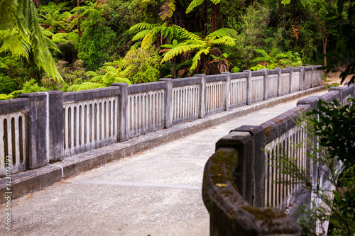 Bridge to nowhere Whanganui closeup