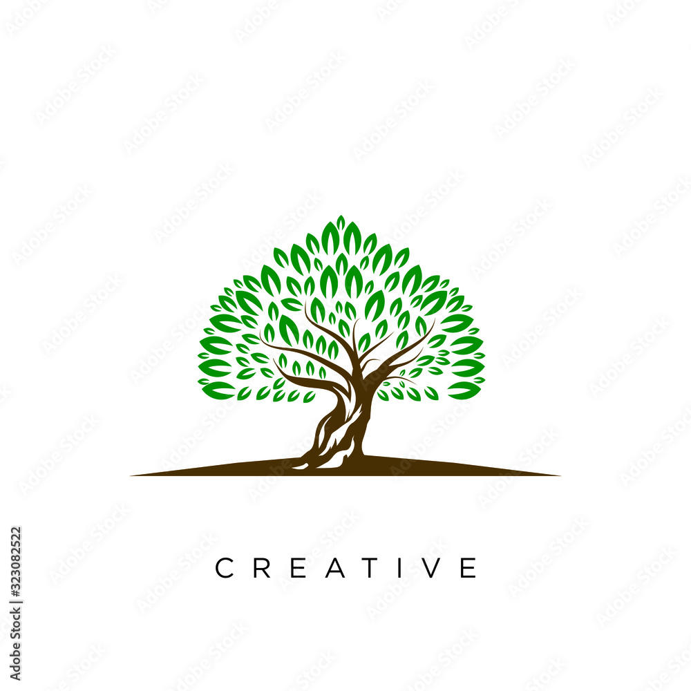 Obraz premium tree logo design vector