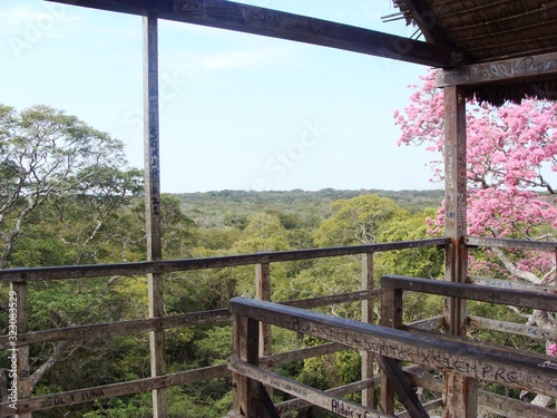 Un mirador de la naturaleza 