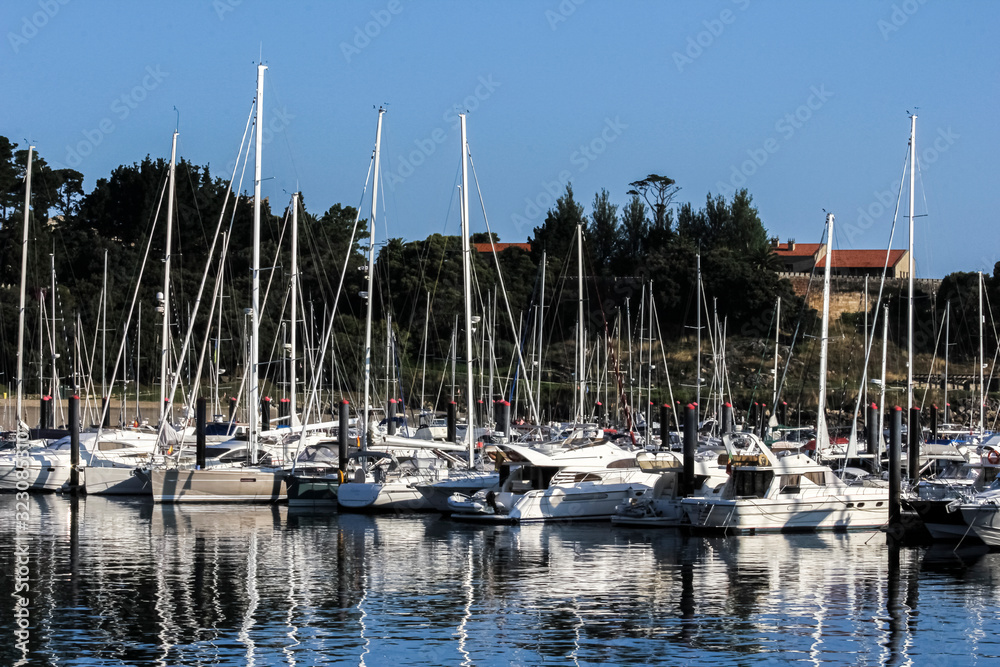 yachts anchored in the marina