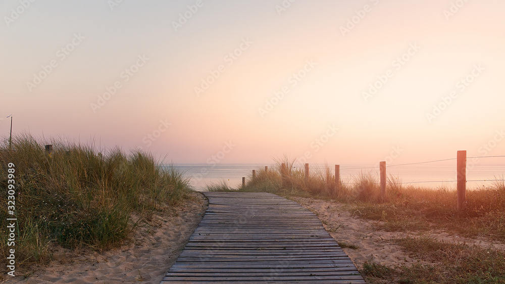 Wooden path in the middle of the dunes leading to the beach surrounded by stakes on the island of Noirmoutier, France