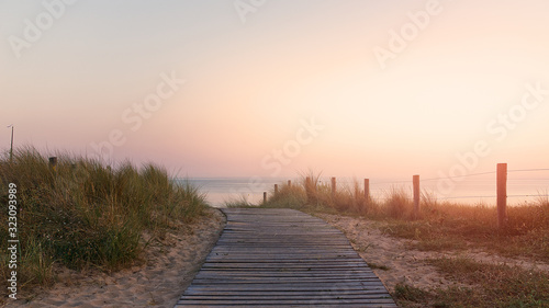 Wooden path in the middle of the dunes leading to the beach surrounded by stakes on the island of Noirmoutier, France