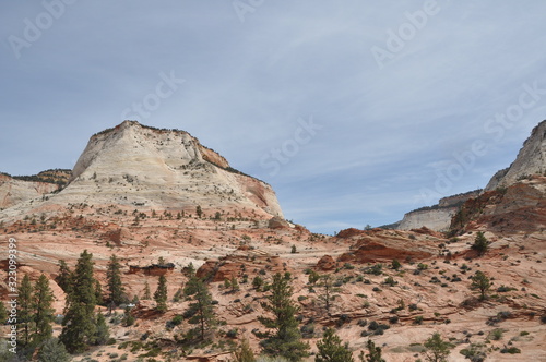 Red Rock Mountains in Zion National Park