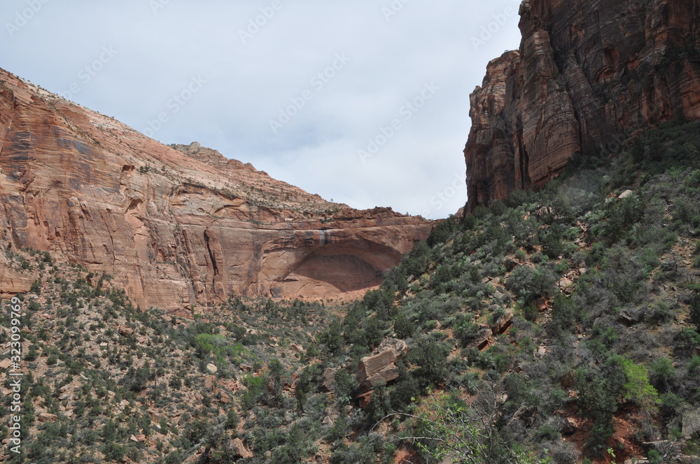 Red Rock Mountains in Zion National Park