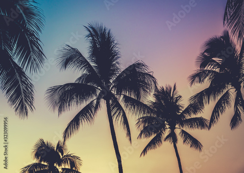 Vibrant Retro Hawaii Sunset Palm Trees © Mr Doomits