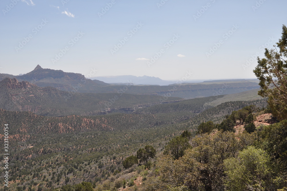 Vista from end of hike in kolob canyon zion national park