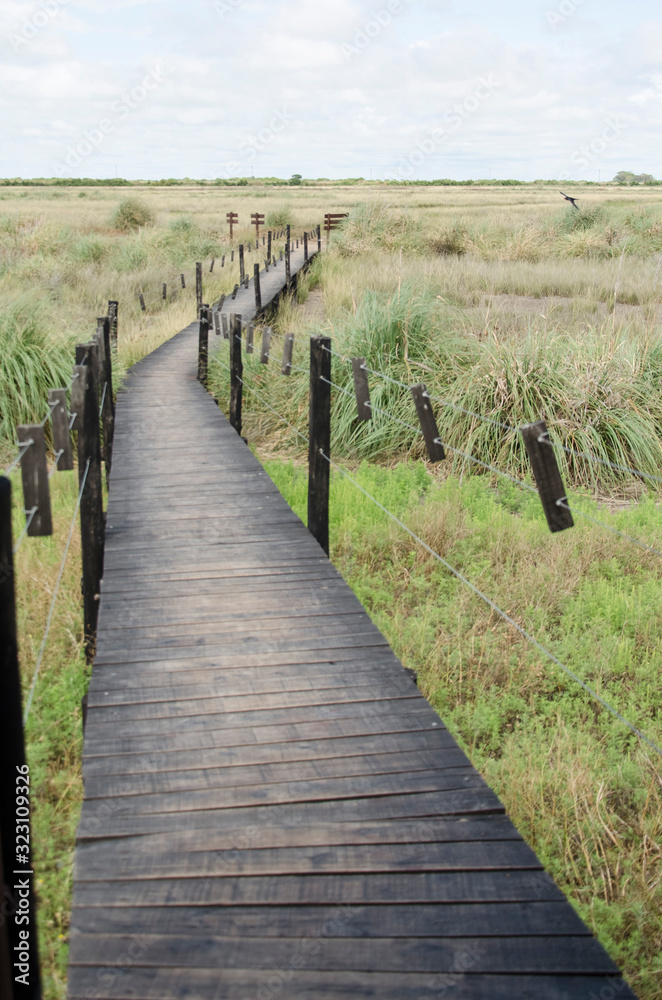 Elevated wooden path over a grassland