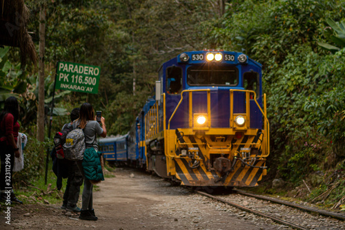 treno per la giungla
