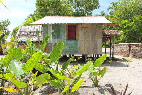 Kiriwina Island, Trobriand Islands, Papua New Guinea, Melanesia, Archipelago, tropical island, south pacific, soloman sea,  photo