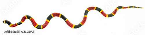 Coral snake toy